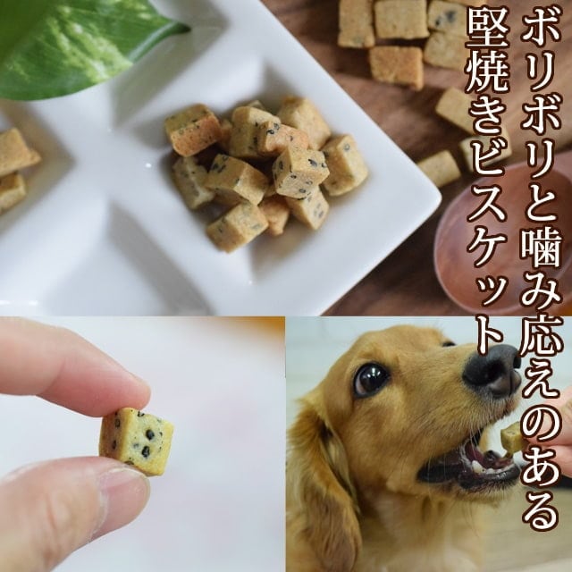 犬用おやつ｜お出かけおやつセット