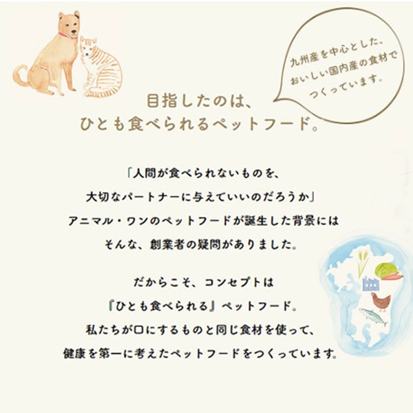 輸入雑貨　アニマル音楽隊　鶏猫犬ロバ　4個セット 輸入雑貨 アニマル音楽隊 鶏猫犬ロバ 4個セット