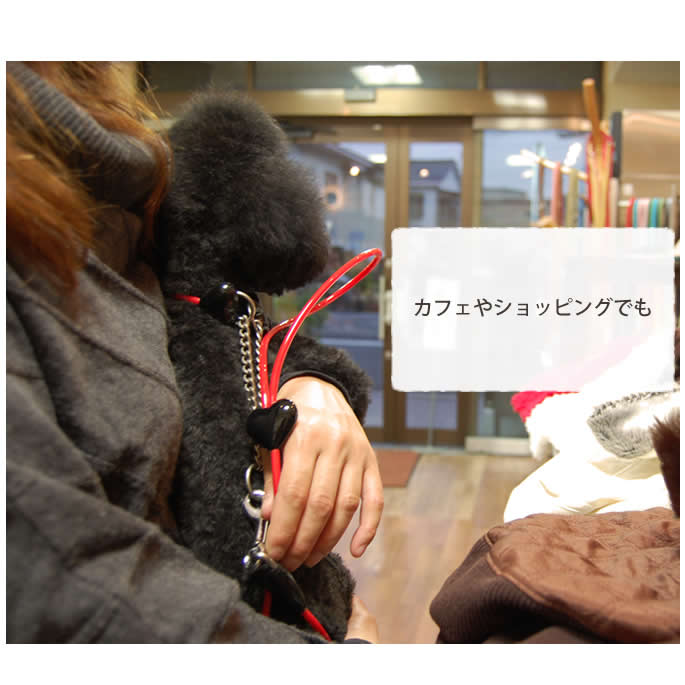 ���ѥϡ��ե��硼����ASHU ��֥꡼�쥤��ϡ��ե��硼���������淿����