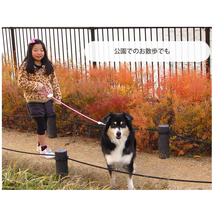 ���ѥϡ��ե��硼����ASHU ��֥꡼�쥤��ϡ��ե��硼���������淿����