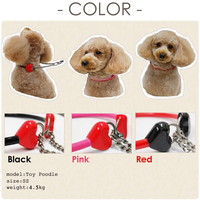 ���ѥϡ��ե��硼����ASHU ��֥꡼�쥤��ϡ��ե��硼���������淿����