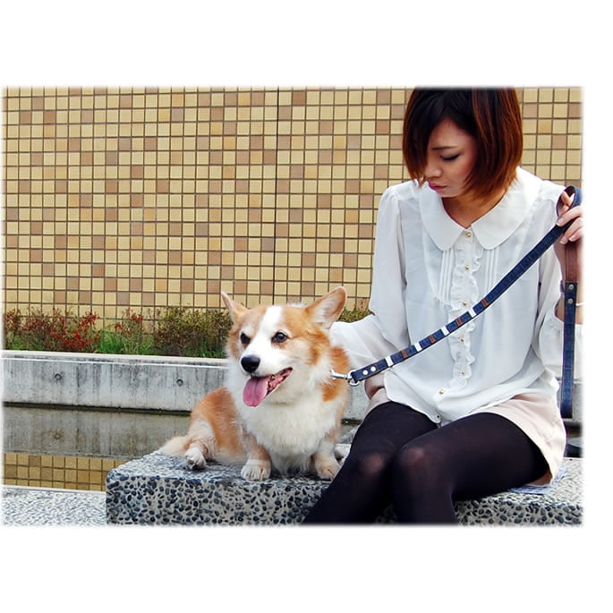 �緿���Ѽ��ء�ASHU���ǥ˥�쥶���롼�ס����顼����������L