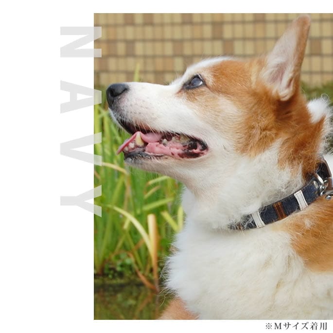 大型犬用首輪｜ASHU デニムレザーループ カラー サイズ L