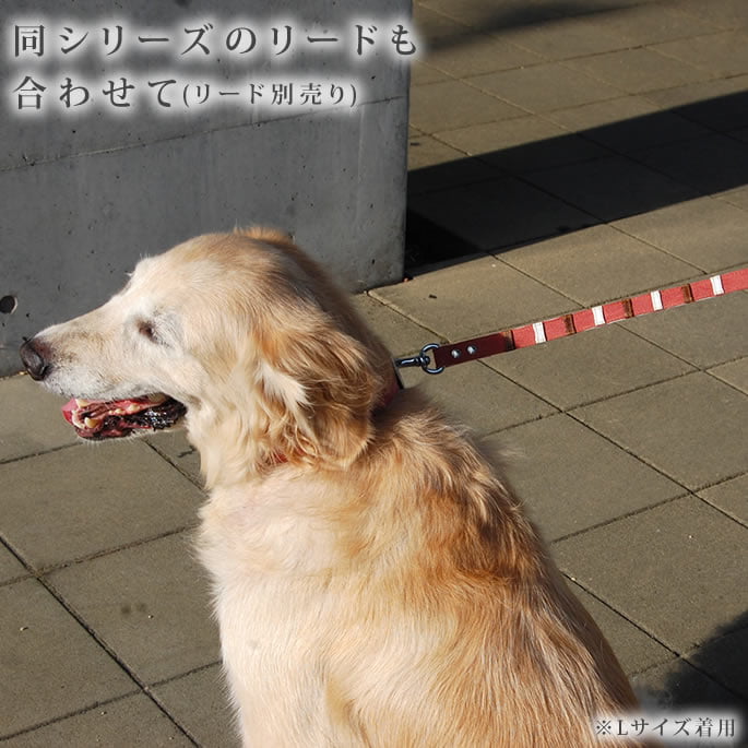 大型犬用　首輪・リードセットで★ASHBURY ★ゴールデンレトリバー 犬 首輪 極太 リード 2点セット 頑丈 首や喉に優しい ペット