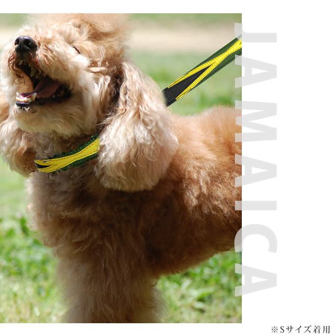 大型犬用リード｜ASHU ワールド リード Lサイズ｜ドッグフードの通販