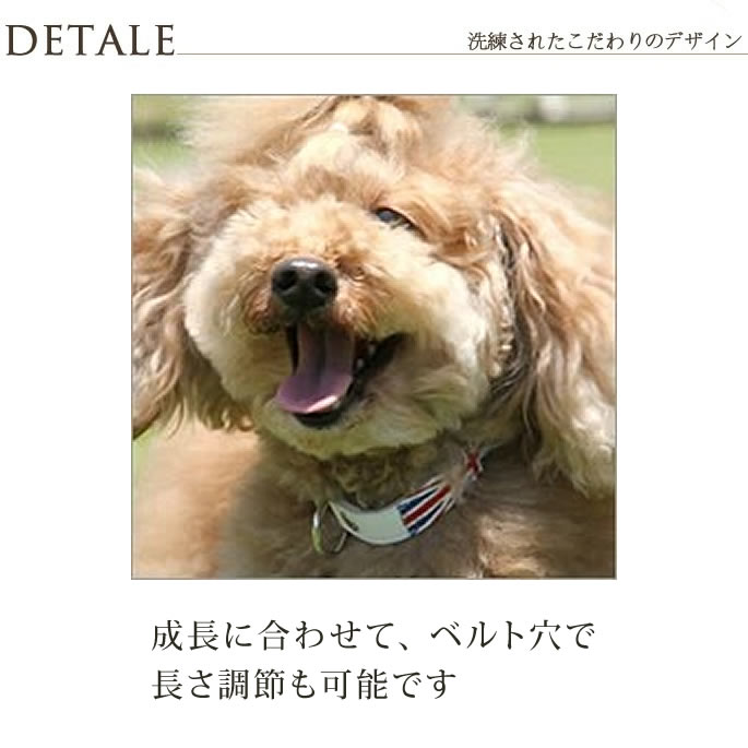 大型犬用リード｜ASHU ワールド リード Lサイズ｜ドッグフードの通販