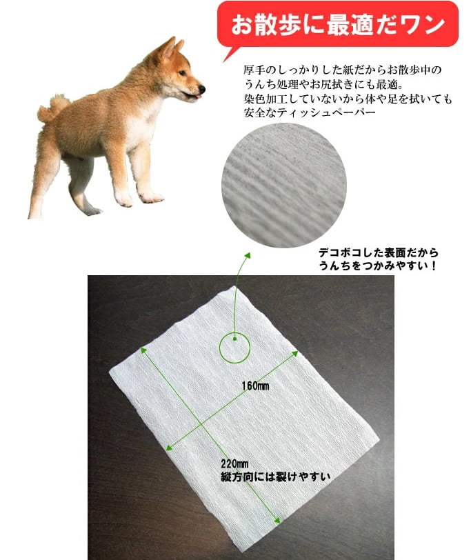 �ȥ����ή����ƥ��å���12�ѥå�