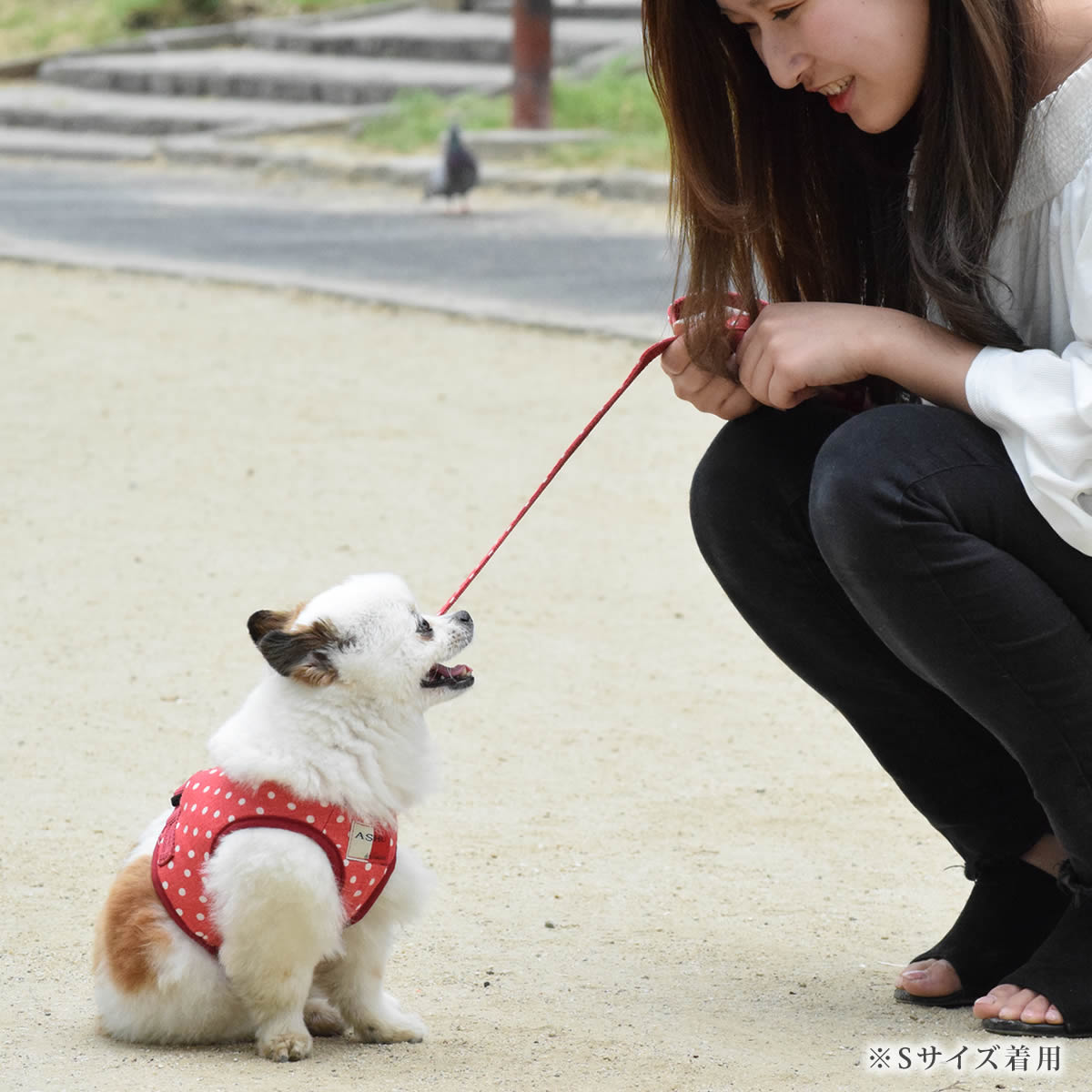 ASHUϡ̡ͥ꡼ɥå XL(淿)