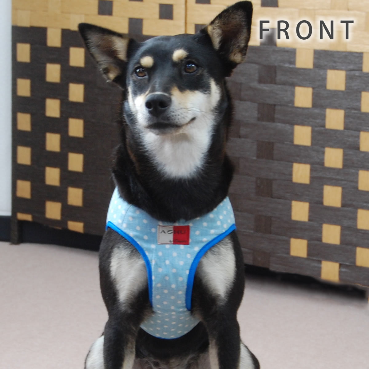 ASHUϡ̡ͥ꡼ɥå XL(淿)