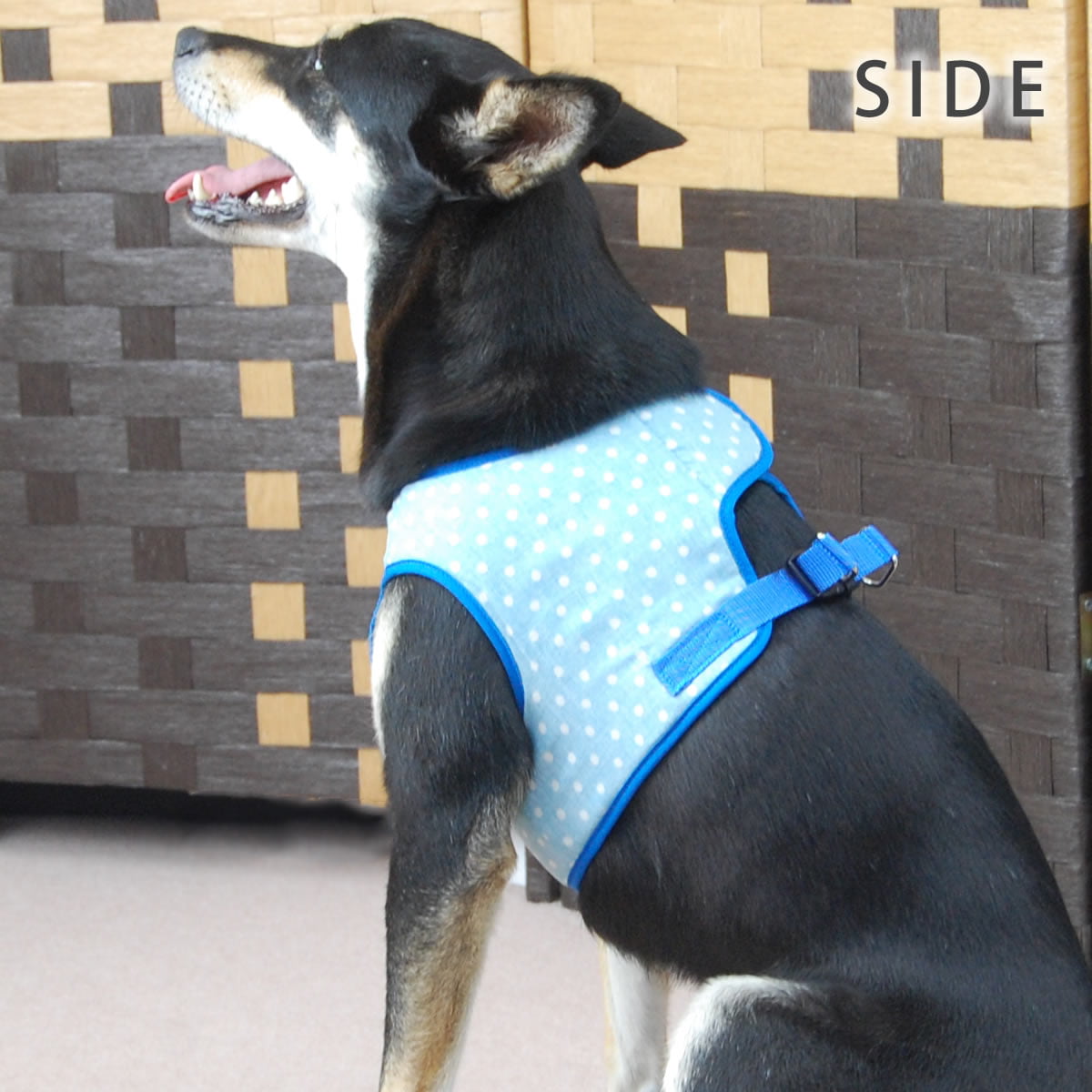 ASHUϡ̡ͥ꡼ɥå XL(淿)