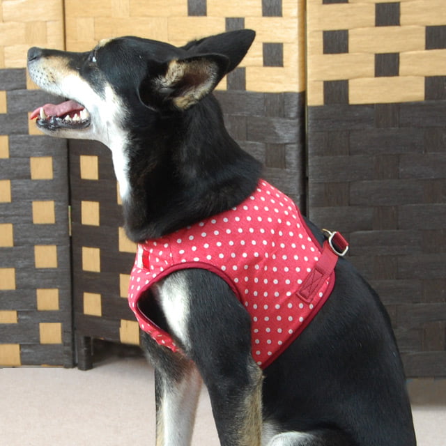 ASHUϡ̡ͥ꡼ɥå XL(淿)