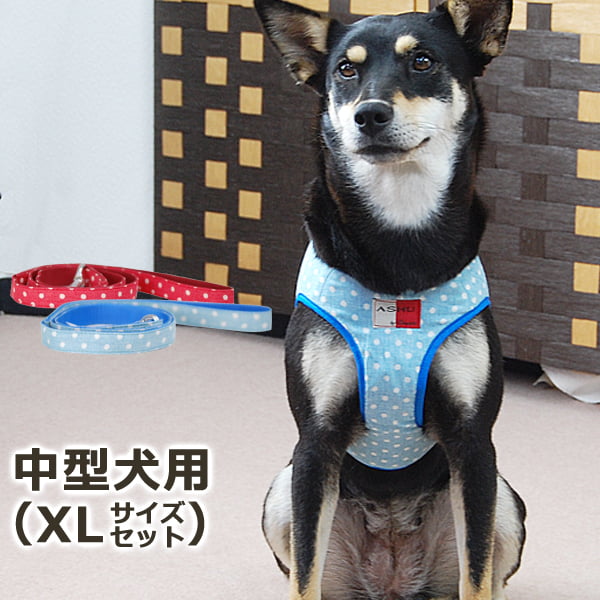 ASHUϡ̡ͥ꡼ɥå XL(淿)