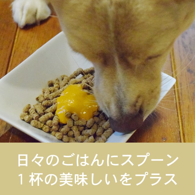 �ڤ����󤻡����Ϥ��ޤ�1�������١ۥƥ饫�˥����ڡ����ȥ��ץꡡ������ǥ�ڡ����ȡ�250g