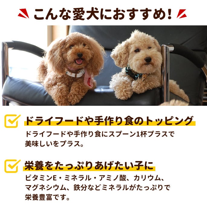 �ڤ����󤻡����Ϥ��ޤ�1�������١ۥƥ饫�˥����ڡ����ȥ��ץꡡ������ǥ�ڡ����ȡ�250g