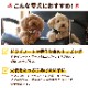 �ڤ����󤻡����Ϥ��ޤ�1�������١ۥƥ饫�˥����ڡ����ȥ��ץꡡ������ǥ�ڡ����ȡ�250g