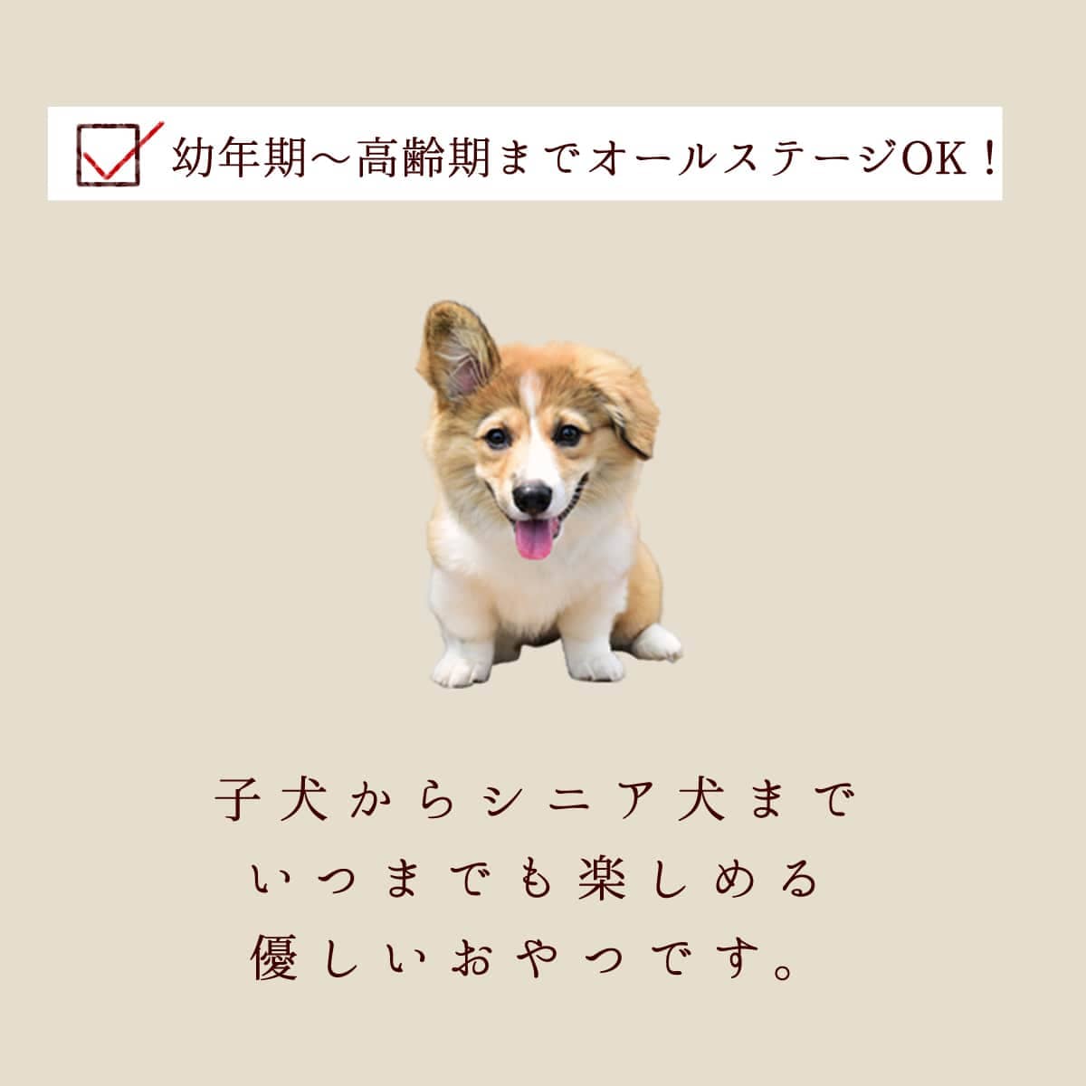 ǭ̵źä ȤäƤΤҤȤ3Υå (ҤȤƥ꡼̡ݤƥ塼)ڥϥɥ࿩Ʋۡء