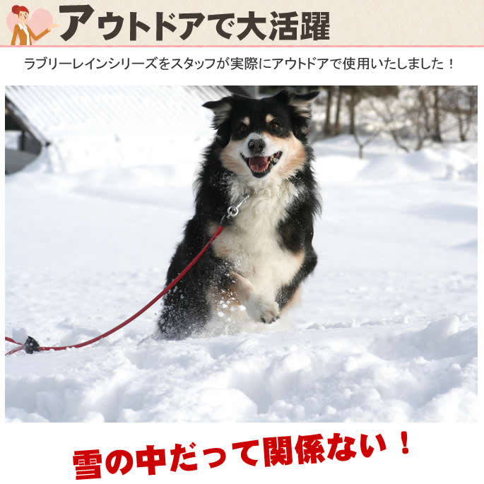 ���ѥϡ��ե��硼����ASHU ��֥꡼�쥤��ϡ��ե��硼��������緿����