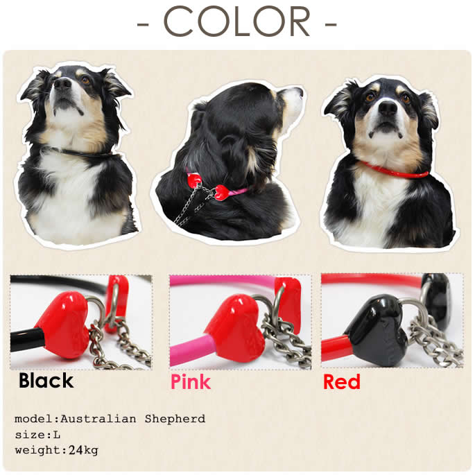 ���ѥϡ��ե��硼����ASHU ��֥꡼�쥤��ϡ��ե��硼��������緿����