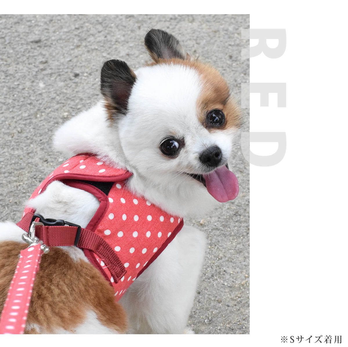 ASHUϡͥѥ꡼ S()ڥϡͥ