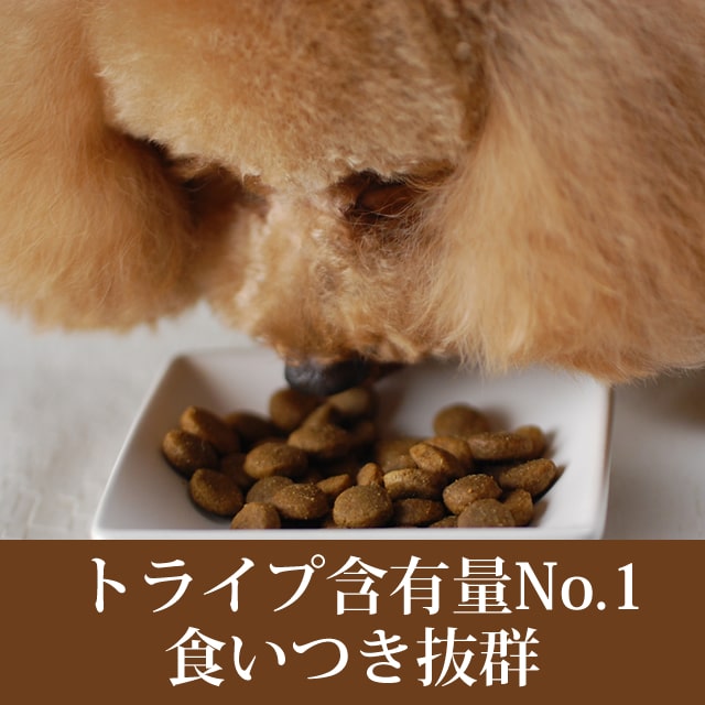 ������̵�������ޤ��աۥȥ饤�ץɥ饤���ɥå��ա��ɡ��Х�����2.72kg2�ޡ����������Ǥ��ޤ���