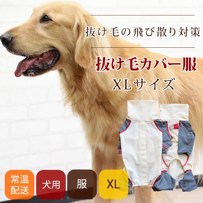 ѡȴӥСأ̥ȴӻɻߡ