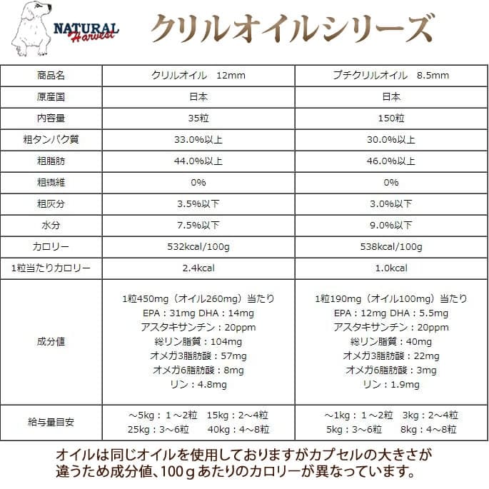 ǭѡץȡ ץ륪 150γꡡ̵סʥϡ٥ȡȥ꡼