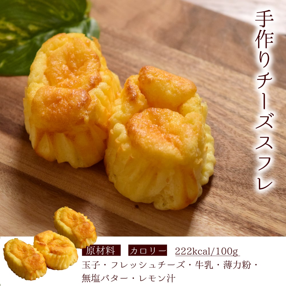 帝塚山ハウンドカム ペット用品・ドッグフードの通販/販売なら帝塚山ハウンドカム