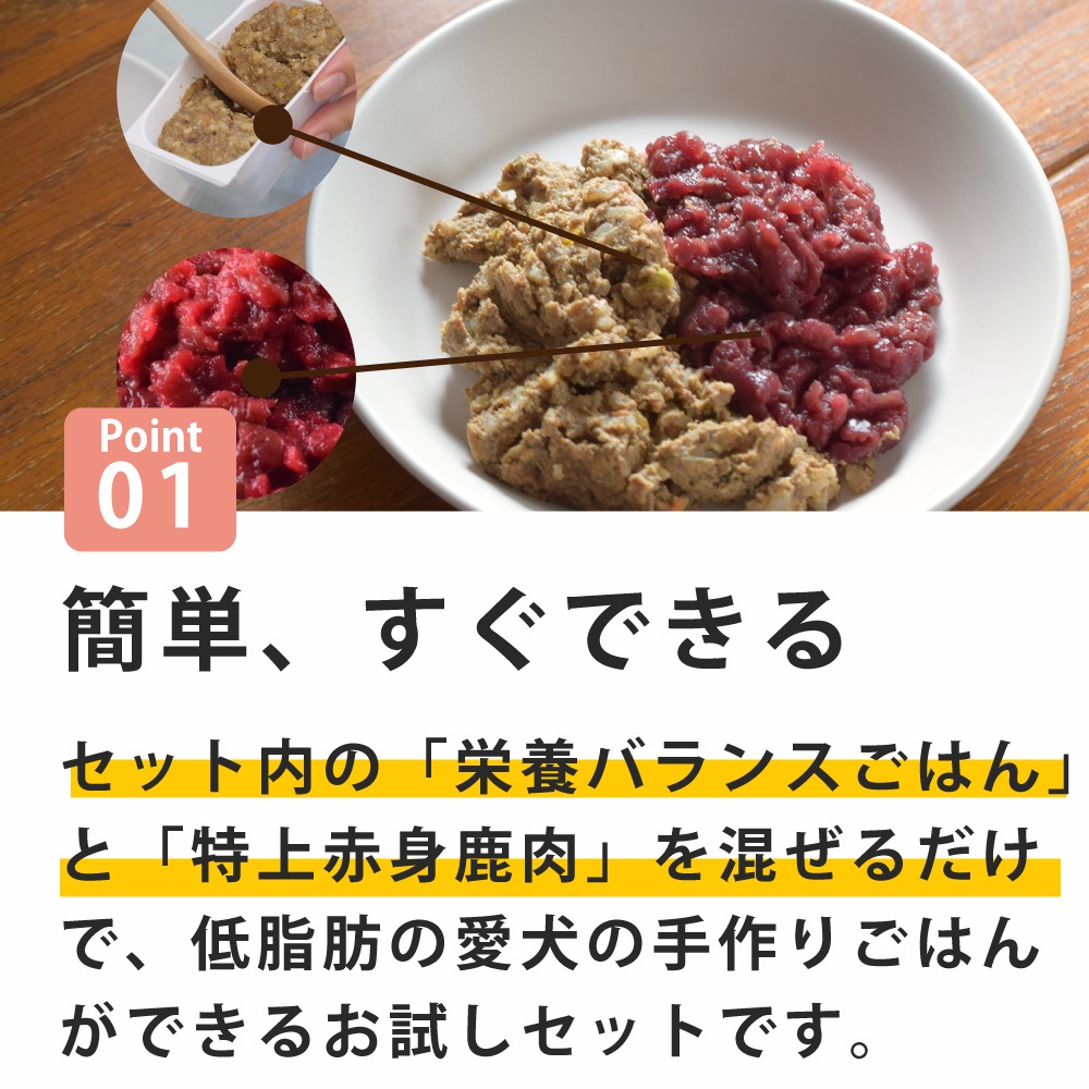犬用 手作りごはんスタートキット｜ドックフードの通販・帝塚山
