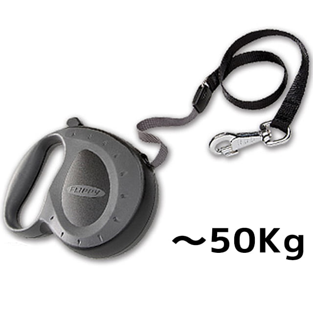 ̥꡼ɡä󤻾ʡåեåԡȥ顼ơ