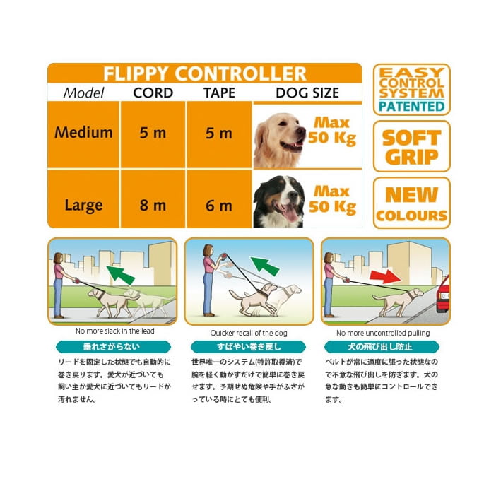 ̥꡼ɡä󤻾ʡåեåԡȥ顼ơ