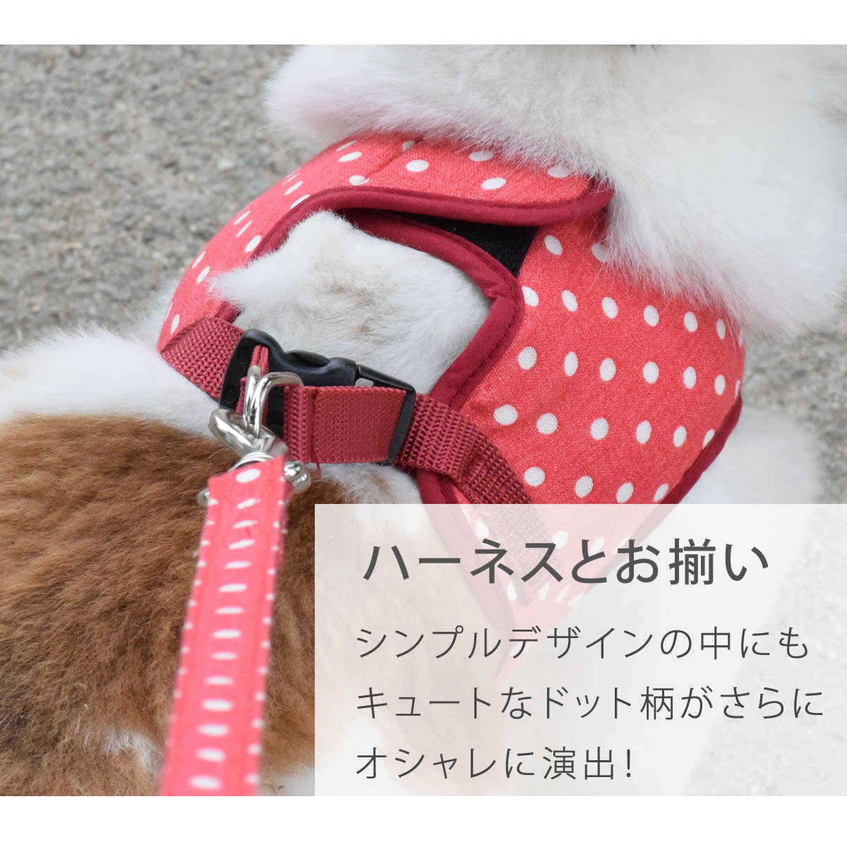 ASHUϡͥѥ꡼ M(淿)ڥϡͥ