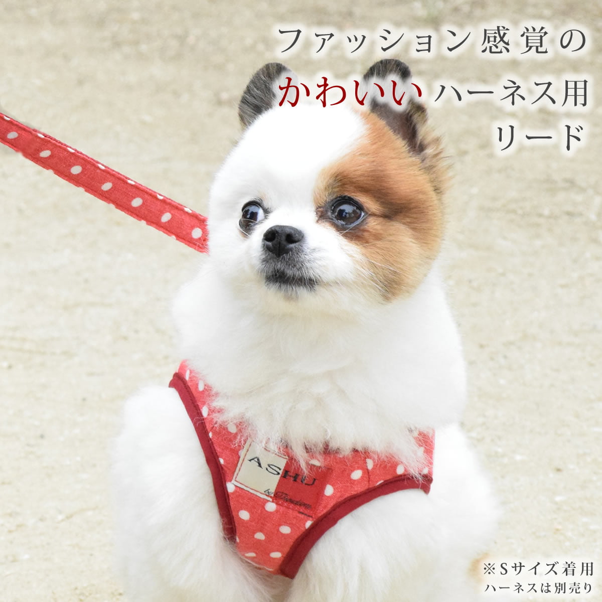 ASHUϡͥѥ꡼ M(淿)ڥϡͥ