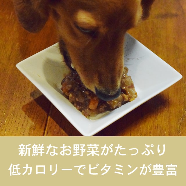 テラカニス　ガーデンベジタブル　400g  9缶  レッド/オレンジ/グリーン テラカニス/【DOG】/ガーデンベジタブル/オレンジフルーツ
