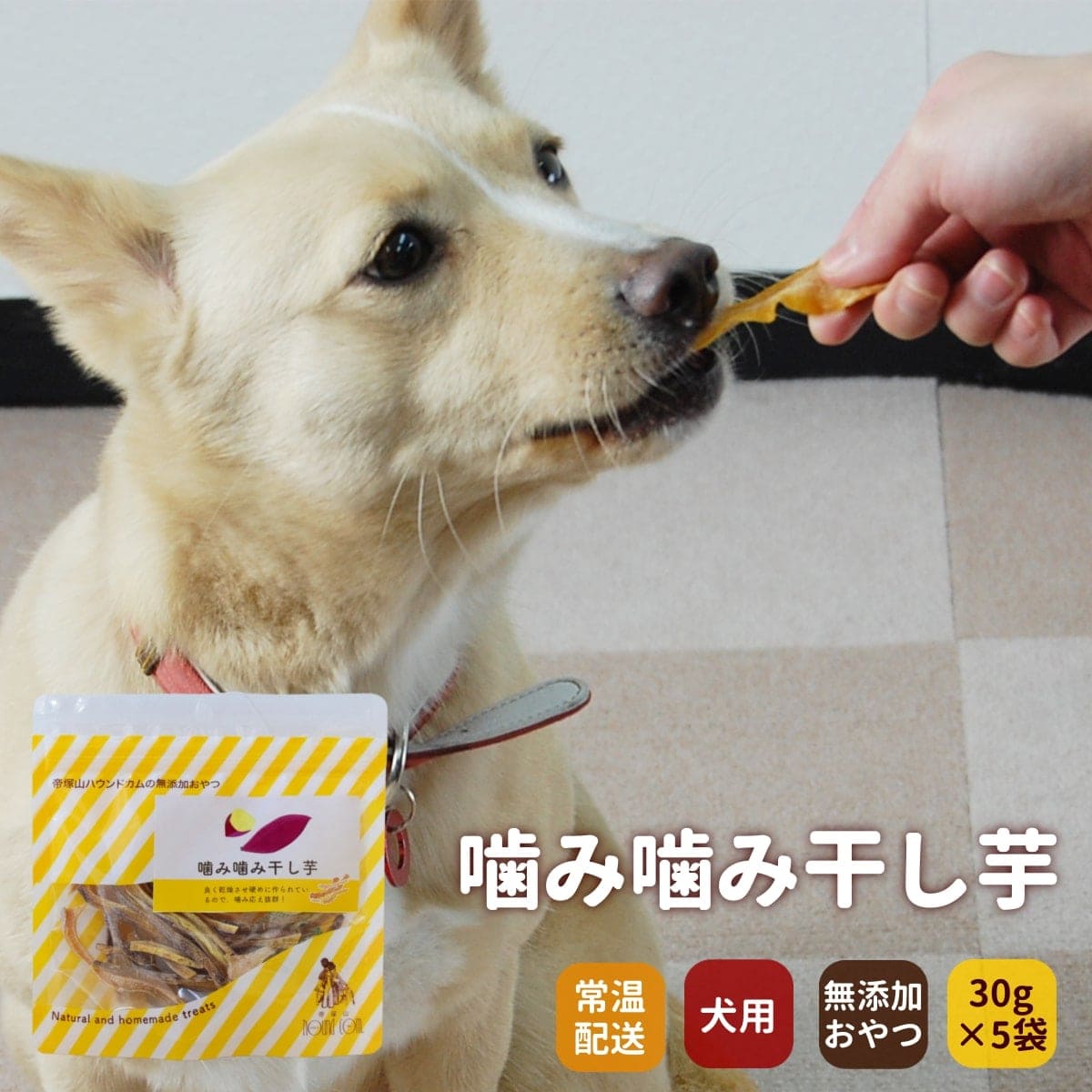 ���Ѥ���ġó��߳��ߴ����� �� 5�ޥ��å� �� �¿���̵ź�äδ����򤪤�ġ�a0079��