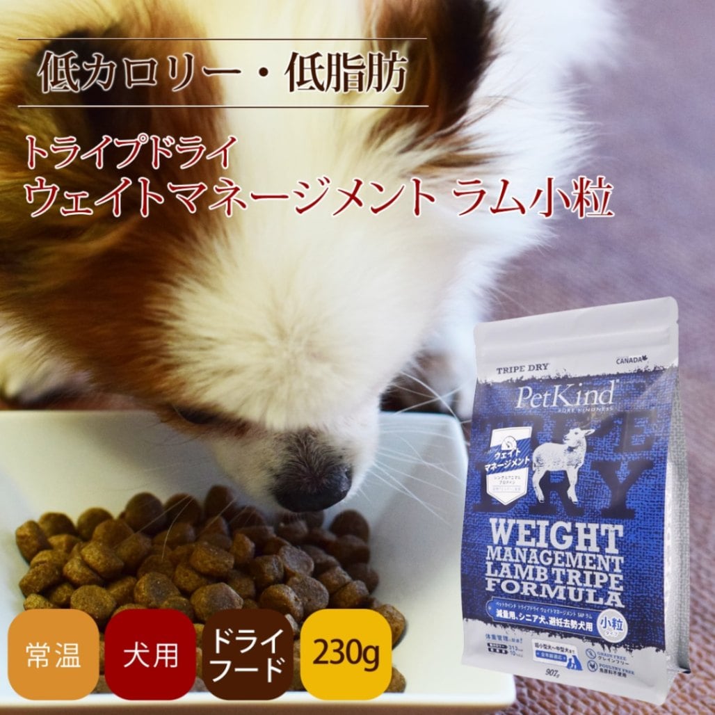 �ȥ饤�ץɥ饤���ɥå��ա��ɡ��������ȥޥ͡������� SAP ��� ��γ�����ס�230g�����������Ǥ��ޤ���