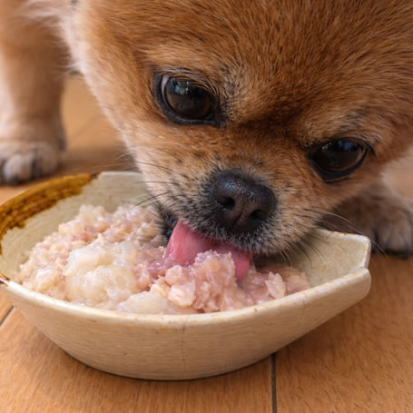 �ڴ��䤷�ޤ������ۥʥ�����ϡ��٥��� �פ륳�饿������������85g