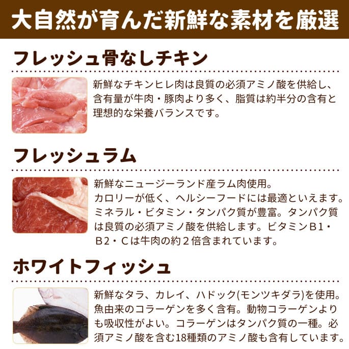 ���������֥�١����ɥȥ�ǥ�����󥢥���ȥե��å��� 5.6kg�������ѡ������֥�٥�����