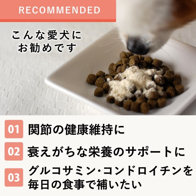 ���ѥ��ץ���ȡäդ��֤�����������η򹯰ݻ��ˡ�a0009�ۡ���ǭ����