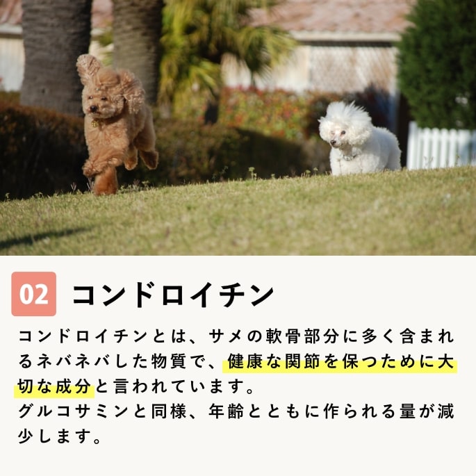 タイムセール犬用サプリメント ふしぶし元気 関節の健康維持に ドックフードの通販 帝塚山ハウンドカム