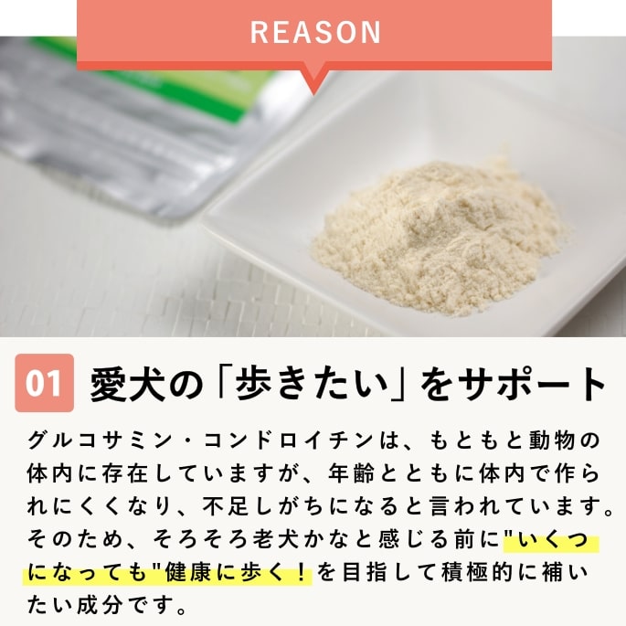 ���ѥ��ץ���ȡäդ��֤�����������η򹯰ݻ��ˡ�a0009�ۡ���ǭ����