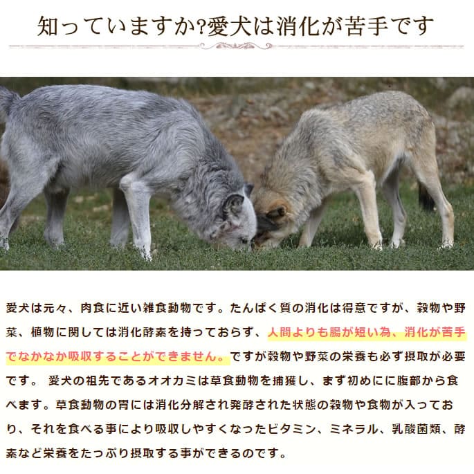 ��ǭ�ѡ��ò���ͥ������ȯ�ڣ������å�(ȯ����ڹ��ǥѥ�����������ݴż򡡸���)