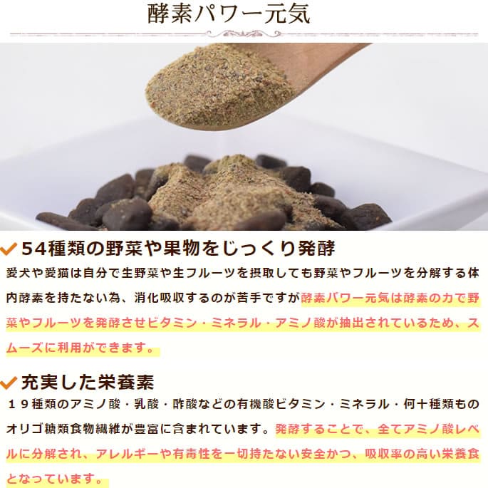 ��ǭ�ѡ��ò���ͥ������ȯ�ڣ������å�(ȯ����ڹ��ǥѥ�����������ݴż򡡸���)