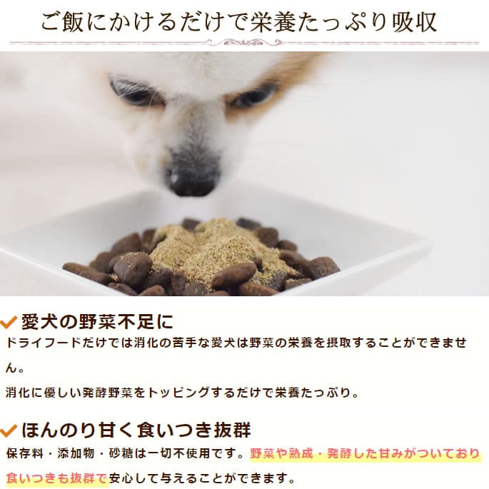 ��ǭ�ѡ��ò���ͥ������ȯ�ڣ������å�(ȯ����ڹ��ǥѥ�����������ݴż򡡸���)