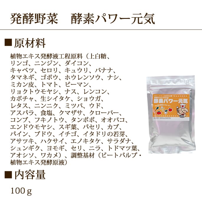 ��ǭ�ѡ��ò���ͥ������ȯ�ڣ������å�(ȯ����ڹ��ǥѥ�����������ݴż򡡸���)