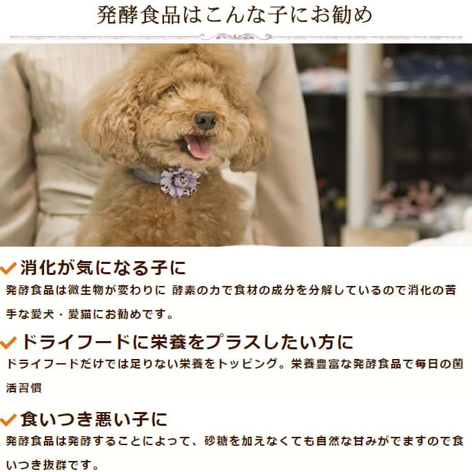 ��ǭ�ѡ��ò���ͥ������ȯ�ڣ������å�(ȯ����ڹ��ǥѥ�����������ݴż򡡸���)