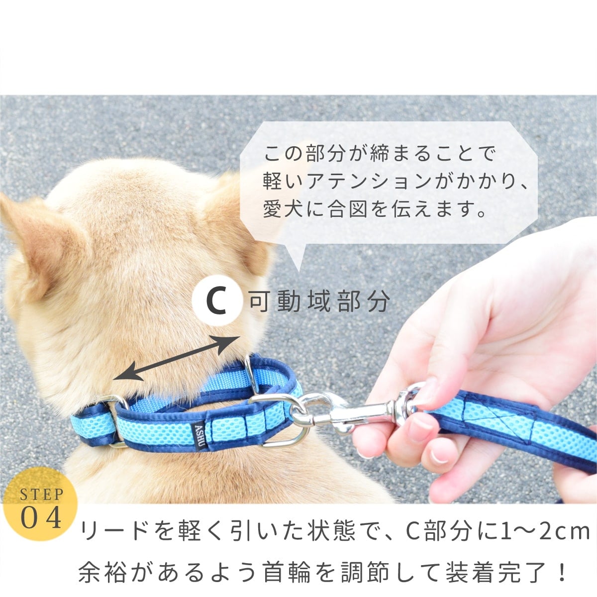 パープル　リクエスト4点まとめ商品 ASHU 犬用 トリコロール チェーンレス ハーフチョーク Sサイズ