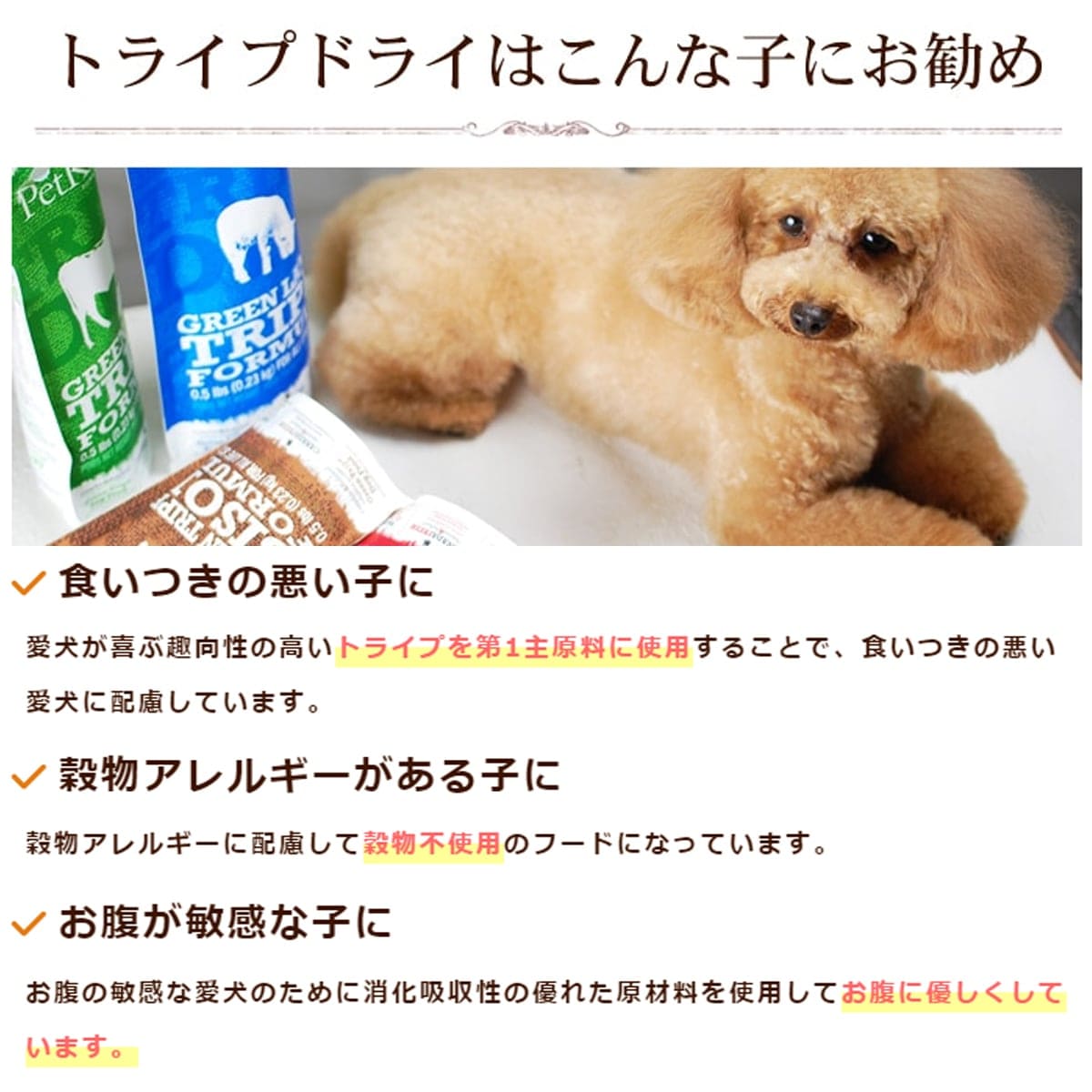 �ȥ饤�ץɥ饤���ɥå��ա��ɡ��������ȥޥ͡������� SAP ��� ��γ�����ס�907g�����������Ǥ��ޤ���