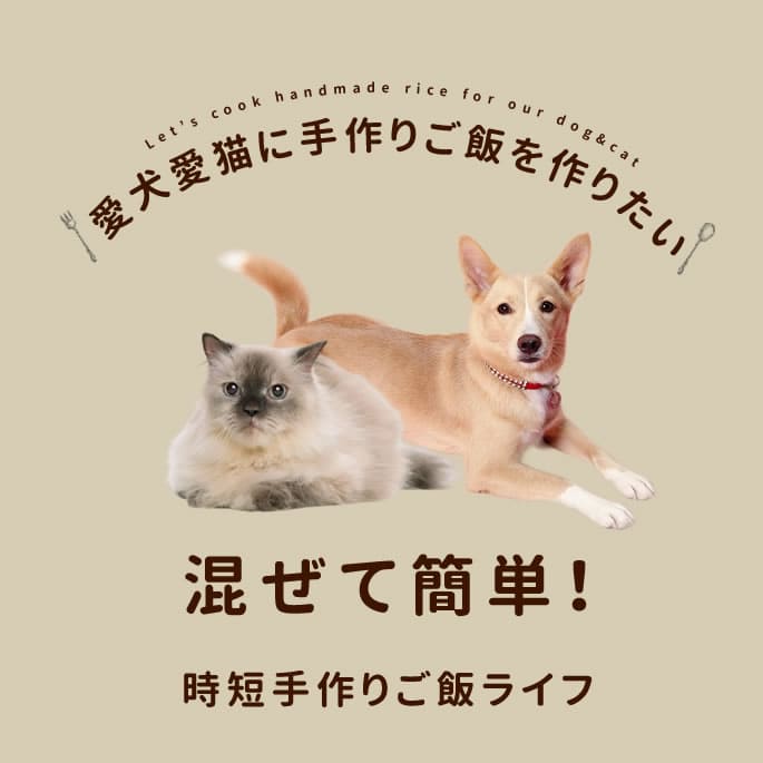  꿩äѥ140gʤʴˡ̣إ륷Ʀѥ