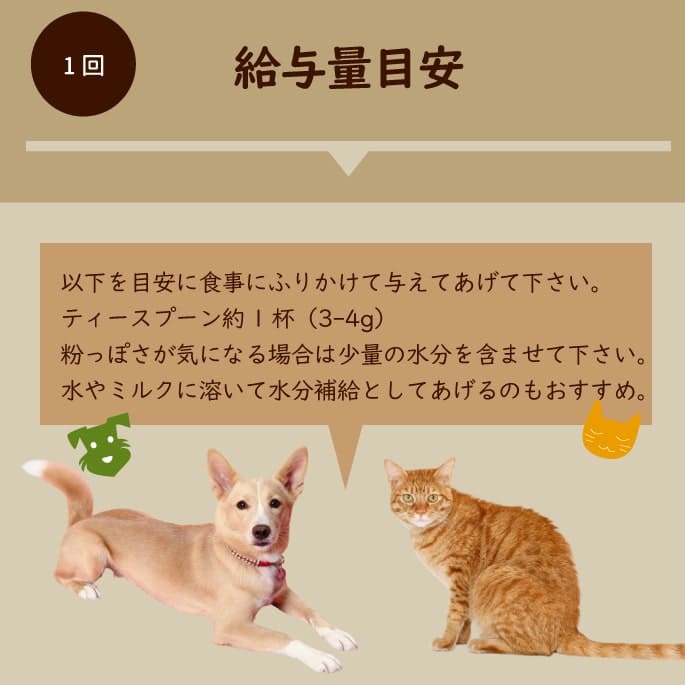  꿩äѥ140gʤʴˡ̣إ륷Ʀѥ