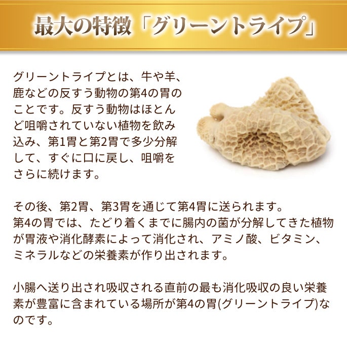 ȥ饤ץɥ饤ɥåաɡࡡ230g